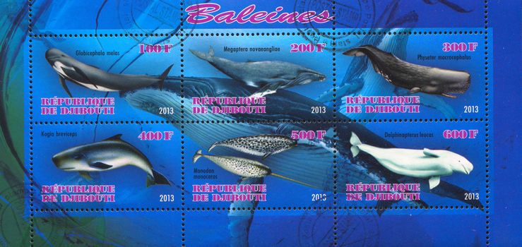 DJIBOUTI - CIRCA 2013: stamp printed by Djibouti, shows whale, circa 2013