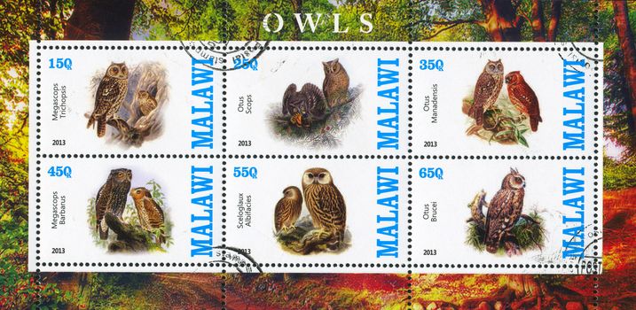 MALAWI - CIRCA 2013: stamp printed by Malawi, shows Pallid Scops Owl, circa 2013