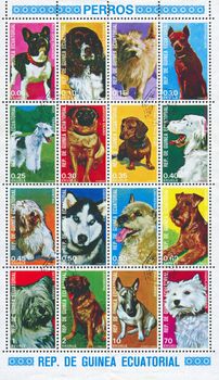 GUINEA - CIRCA 1974: stamp printed by Guinea, shows dog, circa 1974