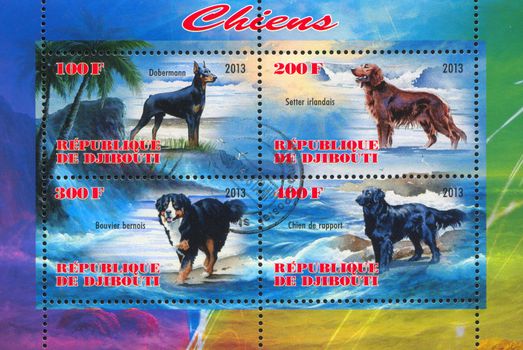 DJIBOUTI - CIRCA 2013: stamp printed by Djibouti, shows dog, circa 2013