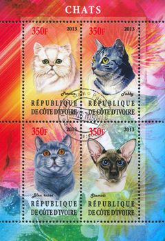 IVORY COAST - CIRCA 2013: stamp printed by Ivory Coast, shows cats, circa 2013
