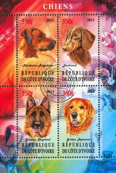 IVORY COAST - CIRCA 2013: stamp printed by Ivory Coast, shows dogs, circa 2013