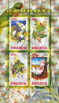 RWANDA - CIRCA 2010: stamp printed by Rwanda, shows Parrot, circa 2010