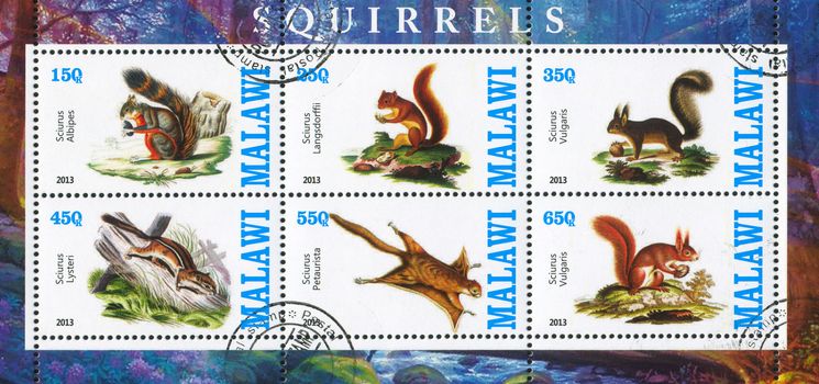 MALAWI - CIRCA 2013: stamp printed by Malawi, shows Squirrel, circa 2013
