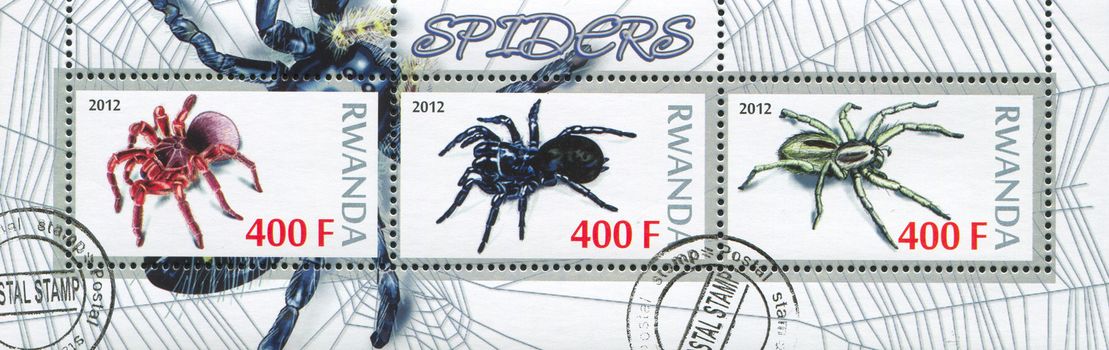 RWANDA - CIRCA 2012: stamp printed by Rwanda, shows Spider, circa 2012