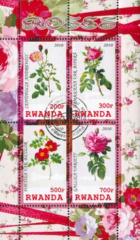 RWANDA - CIRCA 2010: stamp printed by Rwanda, shows rose, circa 2010