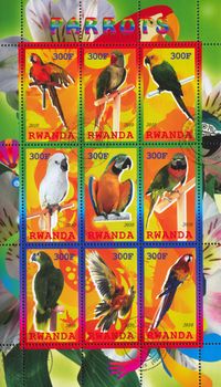 RWANDA - CIRCA 2010: stamp printed by Rwanda, shows Parrot, circa 2010