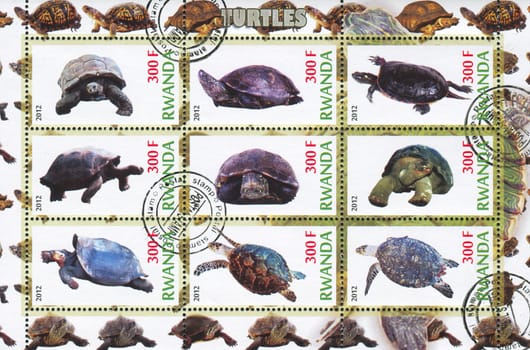 RWANDA - CIRCA 2012: stamp printed by Rwanda, shows Tortoise, circa 2012