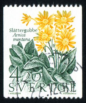 SWEDEN - CIRCA 1987: stamp printed by Sweden, shows Arnica montana, circa 1987