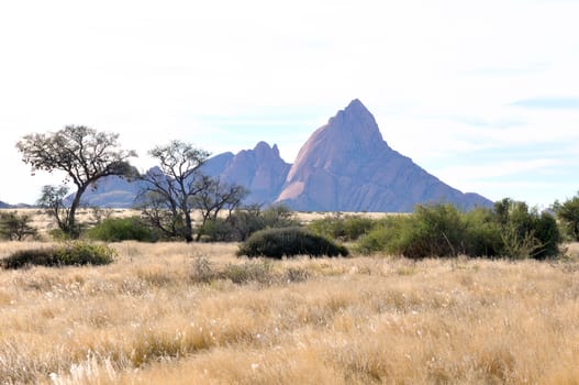 Greater Spitzkoppe, Namibia with trees in the foreground