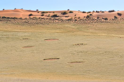 Fairy circles near Sesriem on the way to Sossusvlei, Namibia