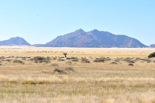 Grass and mountain landscape near Sesriem, Namibia