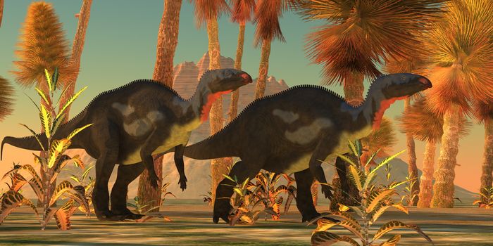 Two Camtosaurus dinosaurs wander through a prehistoric jungle environment.