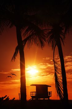 Miami South Beach sunrise with lifeguard tower and palm tree