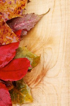 Frame of Wet Yellowed Autumn Leafs closeup on Rustic Wooden background