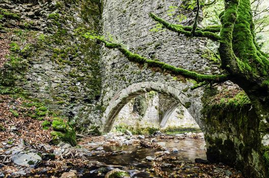 One long time ago forgotten factory deep in to the forest of Navarra in Spain.