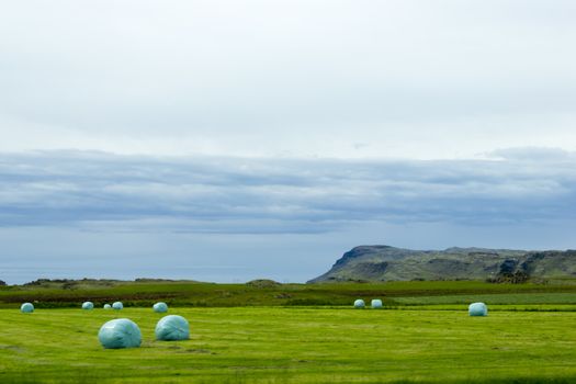 Icelandic Rural Landscape. Hay bales in white plastic on the meadow.