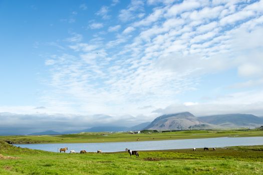 Beautiful lake against mountain background, Iceland, good summer weather