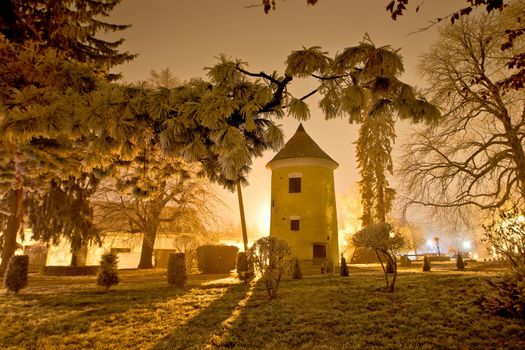 Vrbovec winter night scene in park, with historic tower