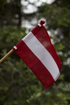 The banner of Austria on the green background