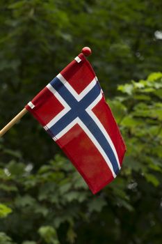 The banner of Norway on the green background