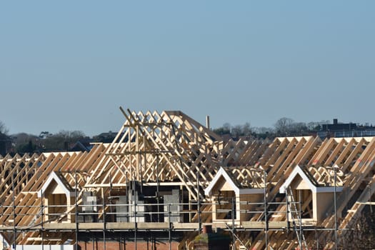 Wooden roof being built