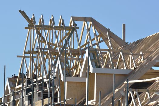 Wooden roof under construction