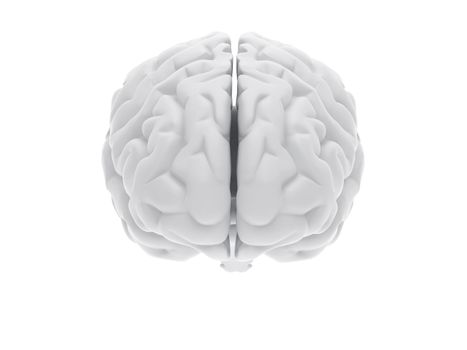 High resolution image. 3d rendered illustration. 3d human brain.