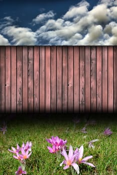 backdrop with wild flowers and fence on garden