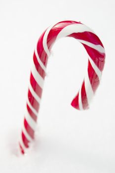 Sweet red and white candy cane lying in the snow.