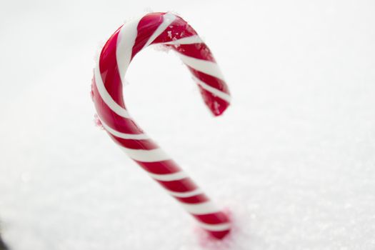 Sweet red and white candy cane lying in the snow.