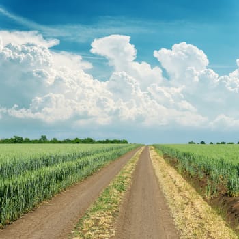 cloudy sky over road in green field