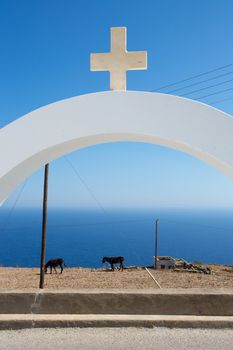 Orthodox Cross and donkeys eating in front of the Aegan sea.The cross is from the roof of Agios Ioanis Prodromos Church, Ano Mera, Pano Meria Village, Folegandros.