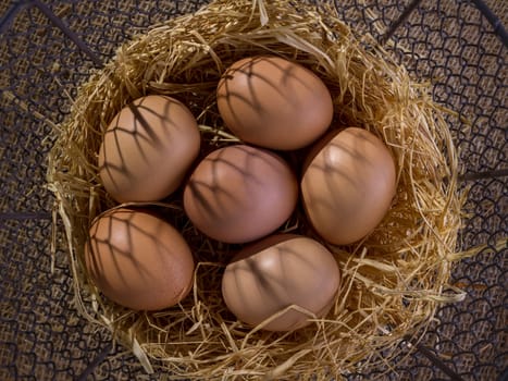A wire mesh basket with a dozen eggs on a bedding of straw