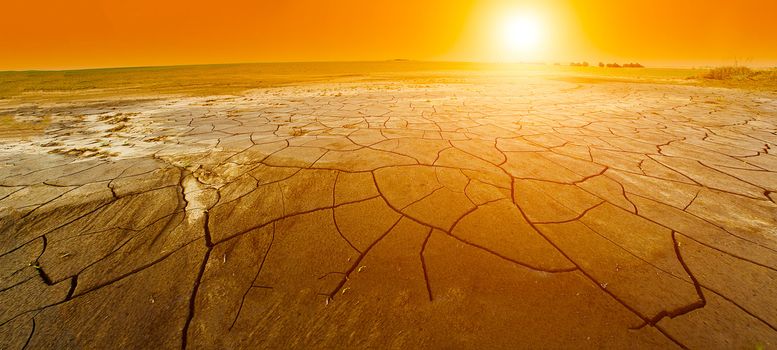 Dry cracked land with a setting sun. Panorama