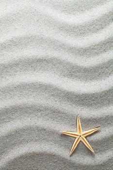 Sandy texture for background with starfish. Summertime concept. Top view