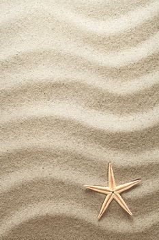 Sand texture for background with starfish. Summertime concept. Top view