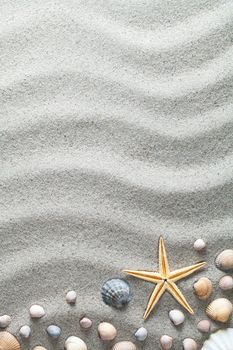 Sandy beach with shells and starfish. Vacation background. Top view