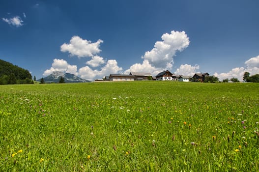 The houses in the meadow in high mountains panorama