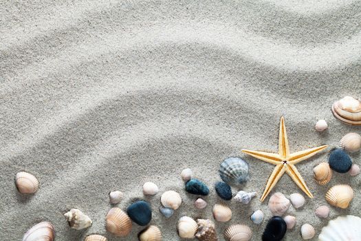 Beach background with shells and starfish. Vacation concept. Top view