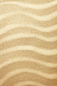 Sandy beach texture for background. Top view