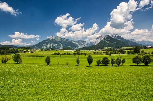 The houses in the meadow in high mountains panorama