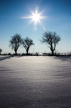 Deep winter landscape with trees and sun