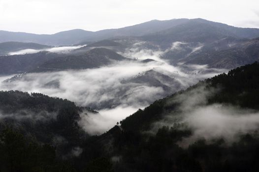 Cevennes mountain range in the south east of France in the department of Lozeres.