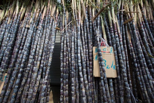 Piles of Bamboo-sticks for sale in the streets of Shanghai.