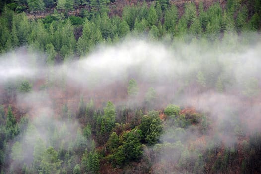 Cevennes mountain range in the south east of France in the department of Lozeres.