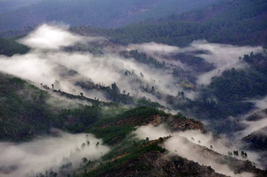 Cevennes mountain range in the south east of France in the department of Lozeres.