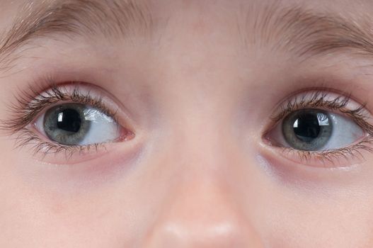 Closeup shot of beautiful long girl's eyes