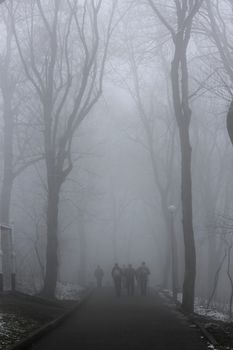 People walking by misty road in the park