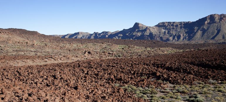 National park, volcanic based ground. Tenerife